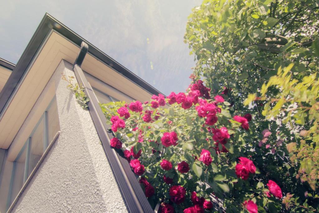 Apartment Hotel Kuukkarin Kortteeri Πόρι Εξωτερικό φωτογραφία